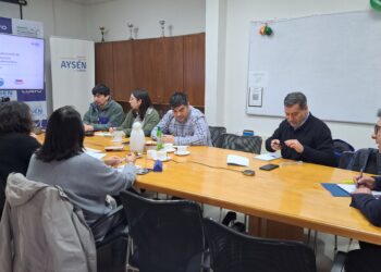 Comité de Desarrollo Productivo de Aysén aprueba financiamiento para 20 proyectos productivos con enfoque sostenible