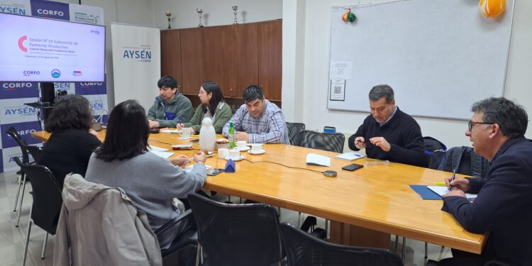 Comité de Desarrollo Productivo de Aysén aprueba financiamiento para 20 proyectos productivos con enfoque sostenible