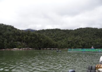 SMA sanciona a empresa salmonera por infracciones ambientales en centros ubicados en Aysén