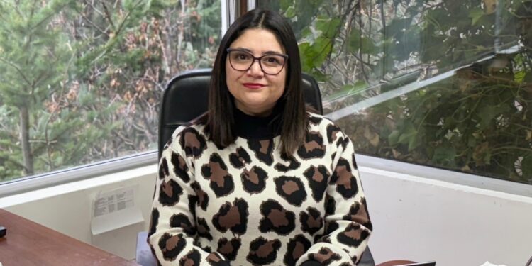 Seremi de Energía de Aysén renuncia tras polémica por antiguos mensajes en redes sociales