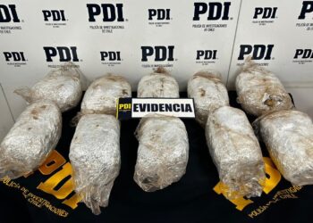 Formalizan a los cuatro imputados por tráfico de cannabis en Puerto Aysén, tres de ellos militares.