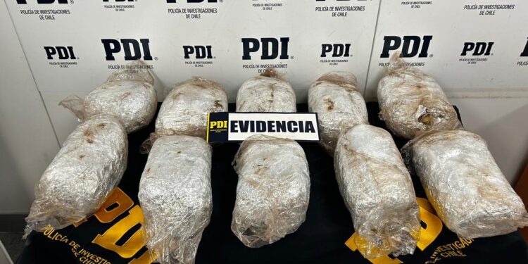 Formalizan a los cuatro imputados por tráfico de cannabis en Puerto Aysén, tres de ellos militares.