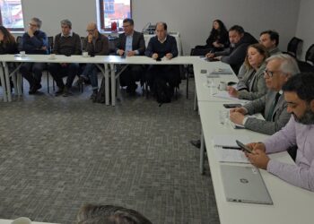 Gremios productivos de Aysén se reúnen con subsecretaria de Hacienda para abordar desarrollo económico regional