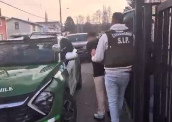Carabineros de Puerto Aysén detiene a sujeto por robo con intimidación y recupera especies sustraídas