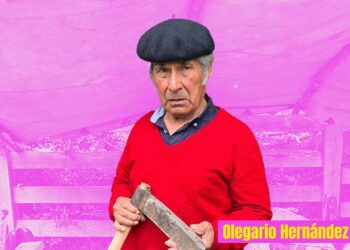 Abren postulaciones para la quinta edición de “100 Líderes Mayores”