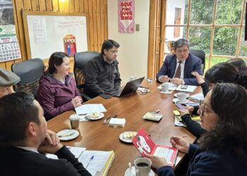 Mesa Regional de Género del sector Justicia proyecta nuevas acciones en Aysén para el segundo semestre