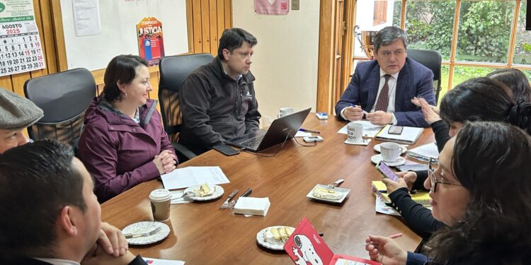 Mesa Regional de Género del sector Justicia proyecta nuevas acciones en Aysén para el segundo semestre