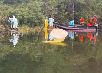 Sernapesca presenta querella por muerte de ballena sei en Parque Nacional Laguna San Rafael
