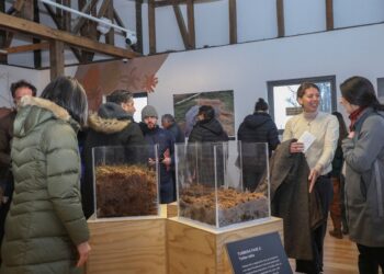 Inauguran exposición sobre turberas en el Museo Regional de Aysén