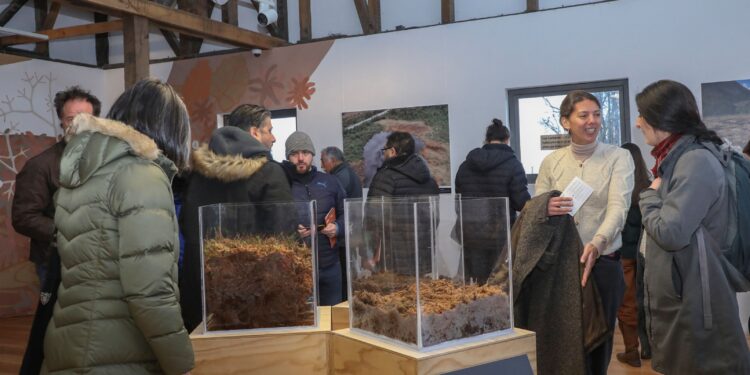 Inauguran exposición sobre turberas en el Museo Regional de Aysén