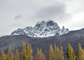 Más que empanadas y anticuchos: La alternativa culinaria que ofrece la Ruta de los Parques de la Patagonia