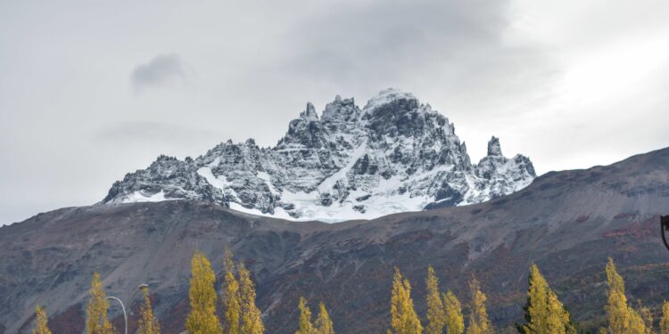 Más que empanadas y anticuchos: La alternativa culinaria que ofrece la Ruta de los Parques de la Patagonia