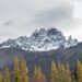 Más que empanadas y anticuchos: La alternativa culinaria que ofrece la Ruta de los Parques de la Patagonia