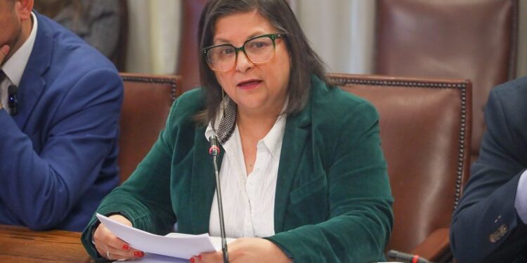 Diputada Marcia Raphael solicita auditoría de Contraloría ante crisis financiera del MINVU