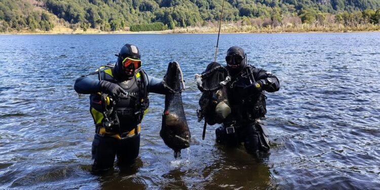 Fundación Aguas Claras intensifica limpieza en lagos y ríos de la Patagonia gracias a nuevo equipamiento