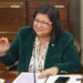 Diputada Marcia Raphael por aumento en la PGU: “Es una política que debe trascender y mejorar en el tiempo”