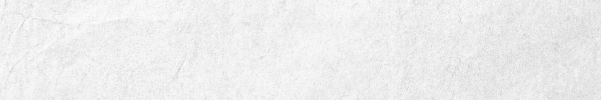 Banner Camilo Triviño Urtubia