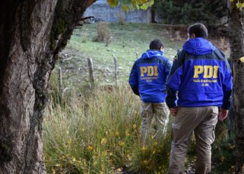 Tras investigación conjunta de la PDI y el Ministerio Público detienen a hombre por maltrato animal en Puerto Aysén