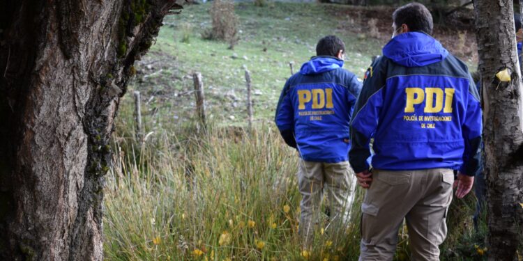 Tras investigación conjunta de la PDI y el Ministerio Público detienen a hombre por maltrato animal en Puerto Aysén