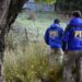 Tras investigación conjunta de la PDI y el Ministerio Público detienen a hombre por maltrato animal en Puerto Aysén