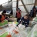 Municipalidad de Cisnes entrega alimento concentrado a 333 productores rurales