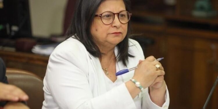 Diputada Marcia Raphael por recorte de presupuesto: “Es inaceptable que el Gobierno castigue a Aysén”