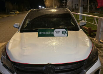 Operativo preventivo por Fiestas Patrias permitió detener a cuatro personas por tráfico de drogas en Aysén