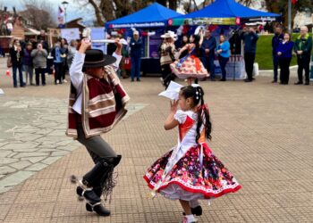 Refuerzan medidas de seguridad y fiscalización para Fiestas Patrias en Aysén