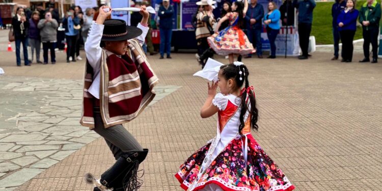 Refuerzan medidas de seguridad y fiscalización para Fiestas Patrias en Aysén