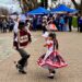 Refuerzan medidas de seguridad y fiscalización para Fiestas Patrias en Aysén