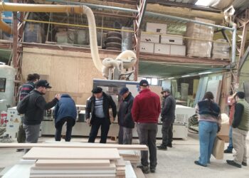 Delegación de Aysén participa en gira tecnológica para fortalecer industria maderera regional