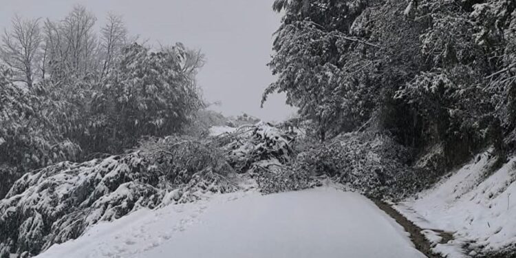 Suspensión de tránsito y restricciones por acumulación de nieve y deslizamientos en la Región de Aysén