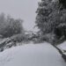 Suspensión de tránsito y restricciones por acumulación de nieve y deslizamientos en la Región de Aysén