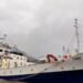 Corte Suprema confirma sanción contra Pesca Chile por descarte ilegal de recursos hidrobiológicos