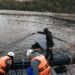 Seremi de Salud Aysén refuerza fiscalización ante aumento de accidentes hiperbáricos en faenas acuícolas