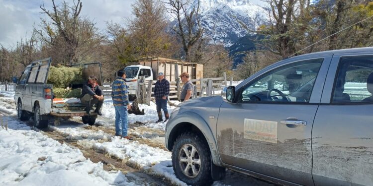 INDAP despliega operativo en terreno para levantar catastro de familias campesinas afectadas por temporal en Aysén