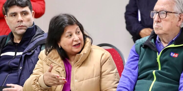 Diputada Raphael: Solicitamos a Interior celeridad en la bajada de recursos para atender la emergencia regional