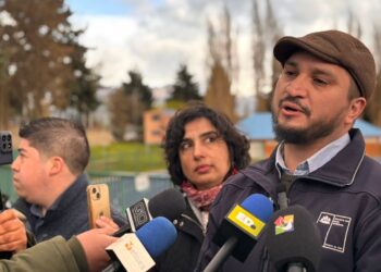 Seremi del Medio Ambiente se refiere al programa de recambio de calefactores en Coyhaique
