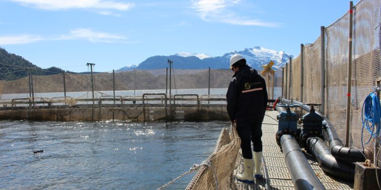 Corte de Apelaciones de Coyhaique confirma condenas contra empresas salmonera