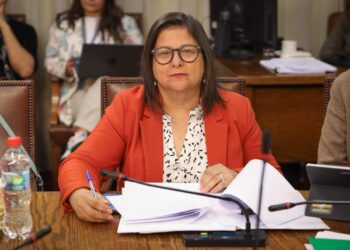 Diputada Marcia Raphael emplazó al gobierno a revertir recortes que afectan a Aysén en Presupuesto 2026