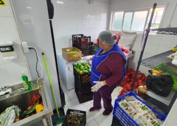 Ecomercado Solidario de Coyhaique alcanza a 100 familias y recupera más de 2 toneladas de alimentos
