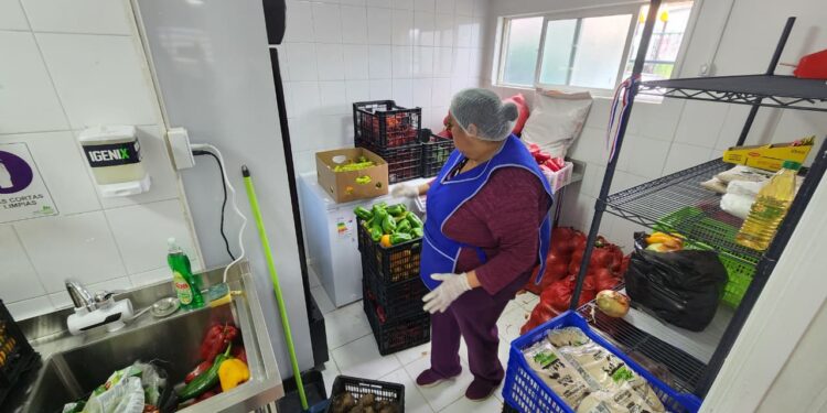 Ecomercado Solidario de Coyhaique alcanza a 100 familias y recupera más de 2 toneladas de alimentos
