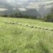 Profesionales y técnicos de Aysén se capacitan en agricultura sustentable con enfoque en cambio climático