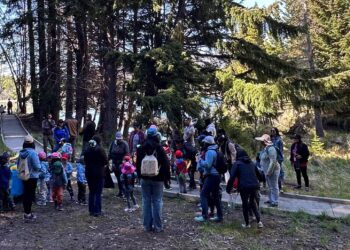 Niños conmemoran Día de las Áreas Protegidas con jornada educativa en la Reserva Nacional Coyhaique