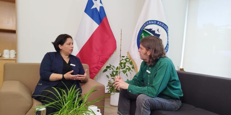 Aysén endurece el tono: el Consejo Regional exige a los servicios públicos acelerar la ejecución presupuestaria ante la amenaza de recortes