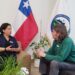 Aysén endurece el tono: el Consejo Regional exige a los servicios públicos acelerar la ejecución presupuestaria ante la amenaza de recortes