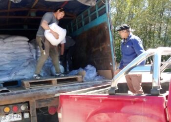 INDAP Aysén entrega incentivos a ganaderos afectados por la cuncunilla negra