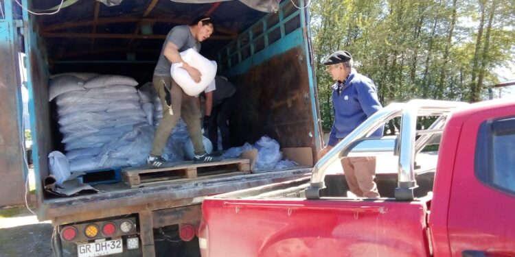 INDAP Aysén entrega incentivos a ganaderos afectados por la cuncunilla negra