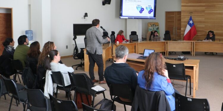Observatorio Laboral de Aysén presenta estudios y cifras ante Comisión del Gobierno Regional
