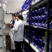 Servicio de Salud Aysén inicia entrega gratuita de medicamentos en postas rurales